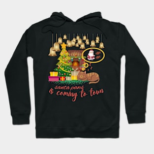 santa paws is coming to town christmas Hoodie